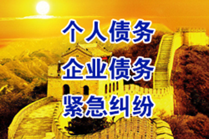 无赔偿能力诉讼困境应对策略